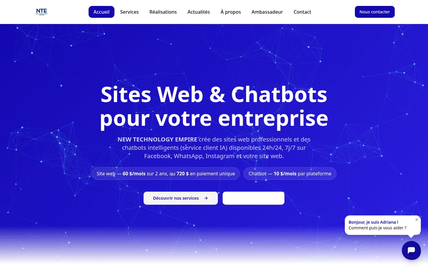 Capture du site NEW TECHNOLOGY EMPIRE